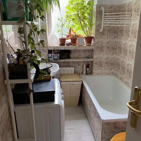 Апартаменты House Oliwa Гданьск