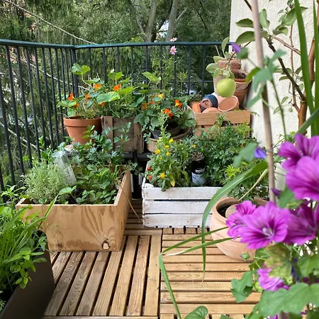 Apartmán House Oliwa *