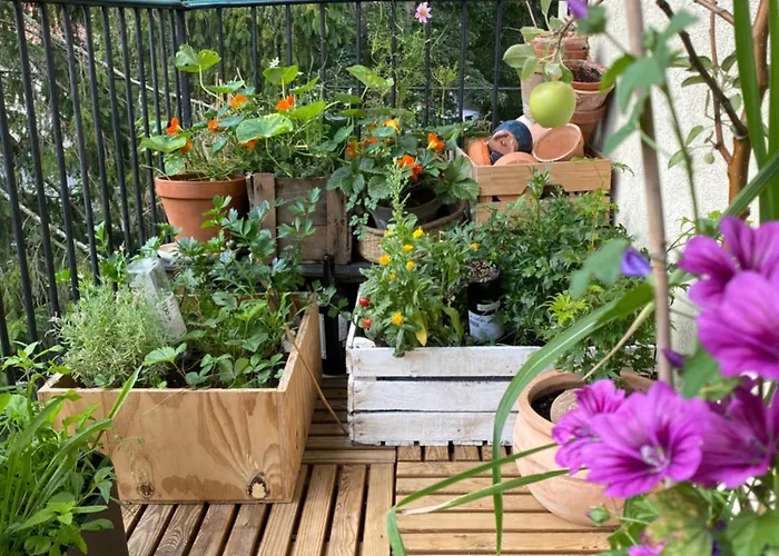 Apartman House Oliwa *